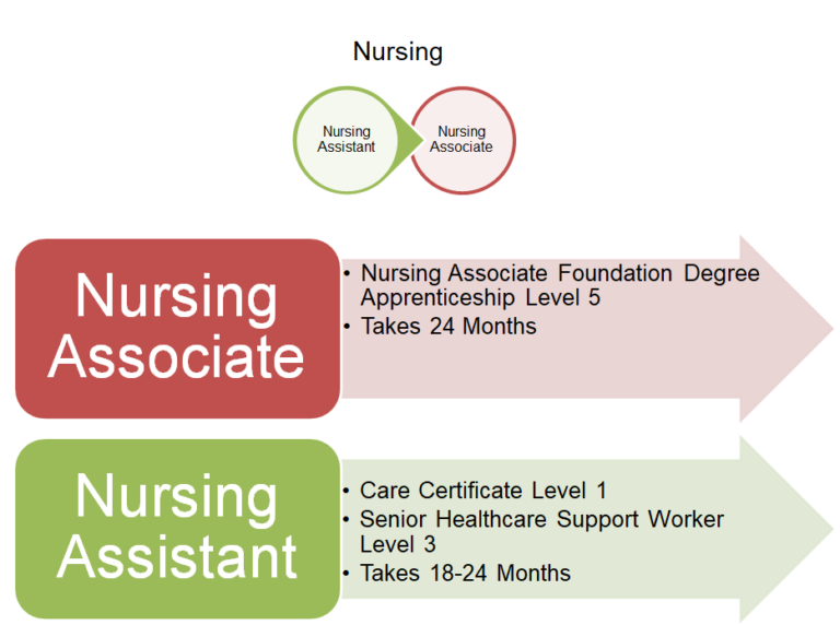 Nursing program timing details