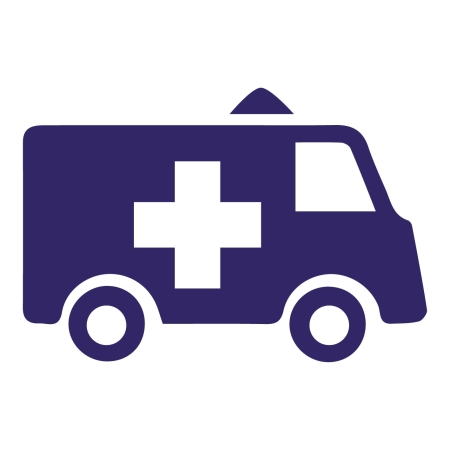 ambulance_infographic purple.jpg
