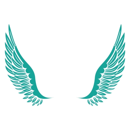 Christmas angel_infographic light blue.jpg