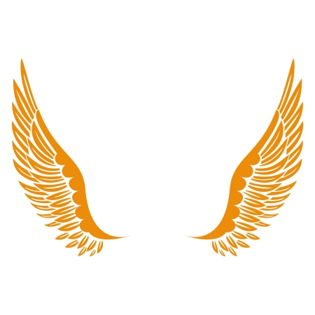 Christmas angel_infographic orange.jpg