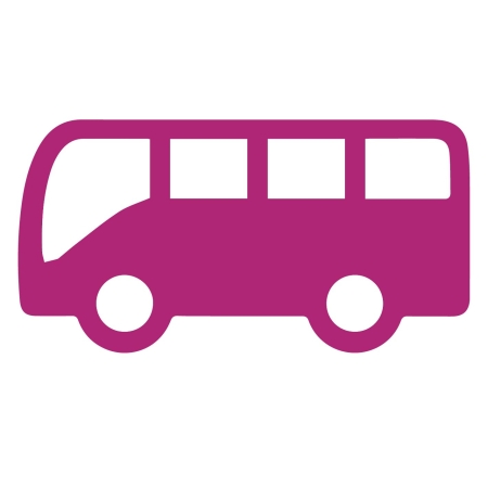 bus_infographic pink.jpg