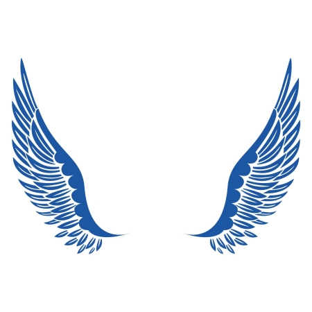 Christmas angel_infographic blue.jpg