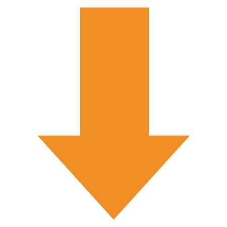 arrow down_infographic orange.jpg