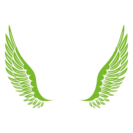 Christmas angel_infographic green.jpg
