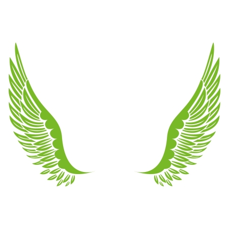 Christmas angel_infographic green.jpg